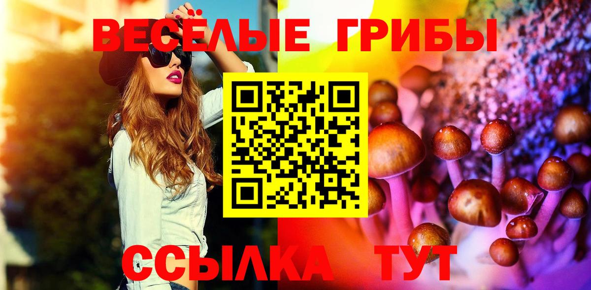 Галлюциногенные грибы Cubensis Астрахань